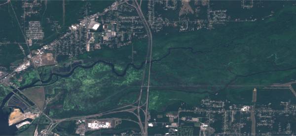true-color image from the European Space Agency&#8217;s Sentinel-2 satellite of, wetlands upstream of Muskegon Lake, dated July 2020